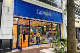 4817 Chevy Chase Blvd, Chevy Chase, MD 20815 - Photo 84