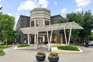 4817 Chevy Chase Blvd, Chevy Chase, MD 20815 - Photo 86