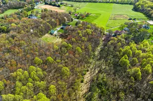 10855 Bethesda Church Rd, Damascus, MD 20872 - Photo 90