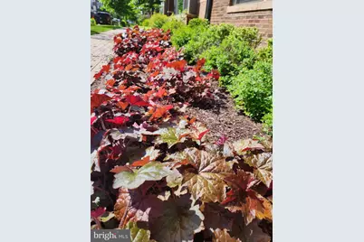 16240 Connors Way #46, Rockville, MD 20855 - Photo 46