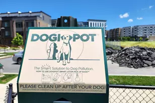 16240 Connors Wy, Rockville, MD 20855 - Photo 44