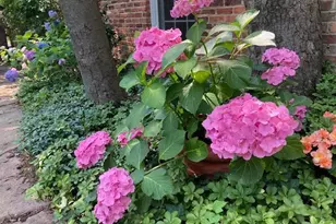 6904 Old Gate Ln, North Bethesda, MD 20852 - Photo 70