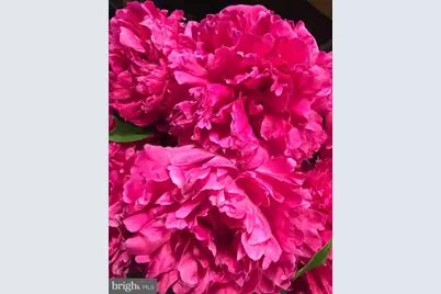 19619 Hoover Farm, Gaithersburg, MD 20882 - Photo 66