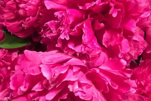 19619 Hoover Farm, Gaithersburg, MD 20882 - Photo 66