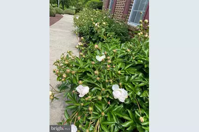 19619 Hoover Farm, Gaithersburg, MD 20882 - Photo 70