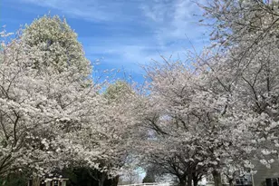 19619 Hoover Farm, Gaithersburg, MD 20882 - Photo 64