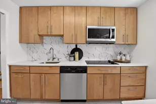 11004 Oakwood St, Silver Spring, MD 20901 - Photo 12