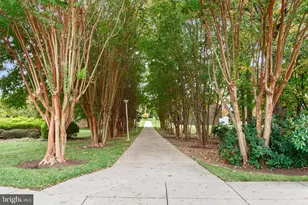 15115 Interlachen Dr, Silver Spring, MD 20906 - Photo 30