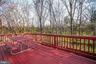 8111 Fallow Dr, Gaithersburg, MD 20877 - Photo 30