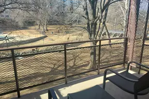 10208 Rockville, North Bethesda, MD 20852 - Photo 20