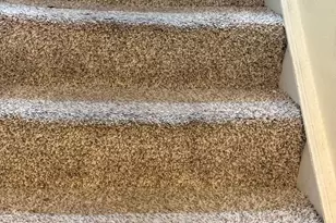 11348 Baroque Rd, Silver Spring, MD 20901 - Photo 46