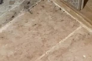 11348 Baroque Rd, Silver Spring, MD 20901 - Photo 38