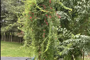 12413 Pueblo Rd, Gaithersburg, MD 20878 - Photo 74