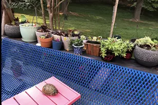 12413 Pueblo Rd, Gaithersburg, MD 20878 - Photo 54