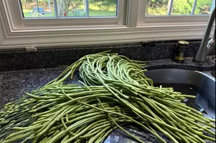 12413 Pueblo Rd, Gaithersburg, MD 20878 - Photo 80