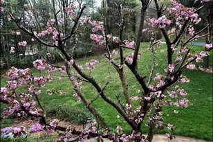 12413 Pueblo Rd, Gaithersburg, MD 20878 - Photo 76