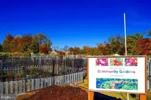 15115 Interlachen Dr, Silver Spring, MD 20906 - Photo 36