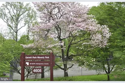 10656 Weymouth Street #202, Bethesda, MD 20814 - Photo 24
