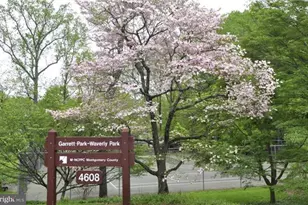 10656 Weymouth St, Bethesda, MD 20814 - Photo 24