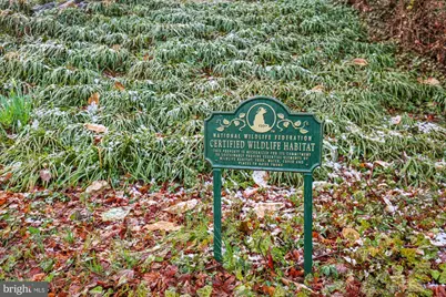 11708 Milbern Drive, Potomac, MD 20854 - Photo 36