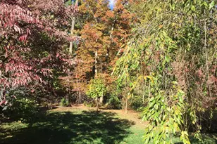 935 Loxford Terrace, Silver Spring, MD 20901 - Photo 40