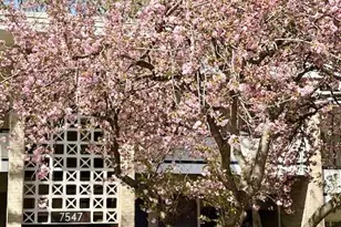 7547 Spring Lake Dr, Bethesda, MD 20817 - Photo 1