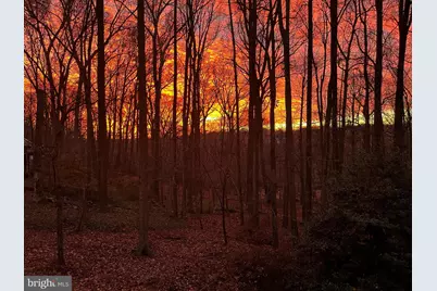 10101 Lloyd Road, Potomac, MD 20854 - Photo 60