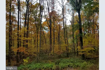 10101 Lloyd Road, Potomac, MD 20854 - Photo 62