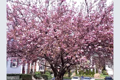 4920 Bradley Boulevard #237, Chevy Chase, MD 20815 - Photo 28