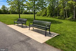 14216 Alderton Rd, Silver Spring, MD 20906 - Photo 10