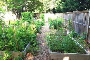 20305 Mallet Hill Ct, Germantown, MD 20876 - Photo 24