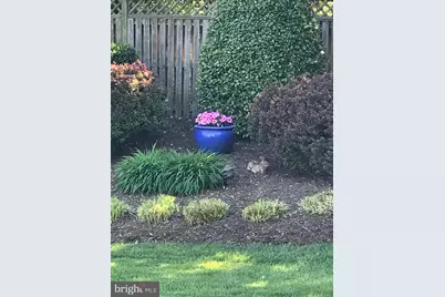 14516 Whirlaway Lane, North Potomac, MD 20878 - Photo 12