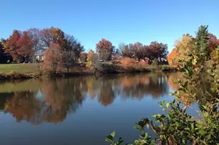 19109 Brooke Grove Ct, Montgomery Village, MD 20886 - Photo 48