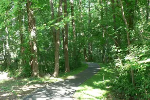 807 Winhall Way, Silver Spring, MD 20904 - Photo 70