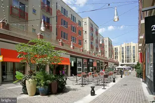 4535 Avondale St, Bethesda, MD 20814 - Photo 18