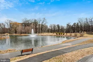 15320 Pine Orchard Dr, Silver Spring, MD 20906 - Photo 34