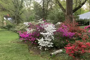 1724 Overlook Dr, Silver Spring, MD 20903 - Photo 56