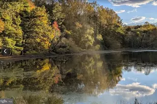 12605 Bluhill Rd, Silver Spring, MD 20906 - Photo 14