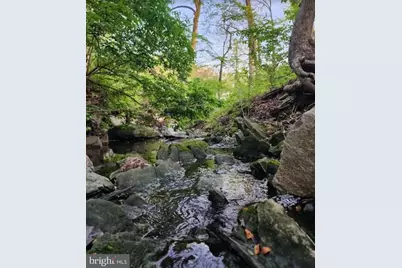 12605 Bluhill Road, Silver Spring, MD 20906 - Photo 2