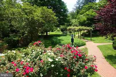 10206 Kensington Parkway, Kensington, MD 20895 - Photo 74