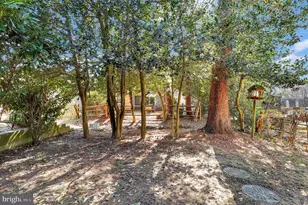 19103 Capehart Dr, Montgomery Village, MD 20886 - Photo 38