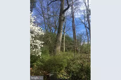 9211 Three Oaks Drive, Silver Spring, MD 20901 - Photo 6