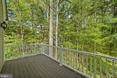 18 Pinebark Court, Brinklow, MD 20862 - Photo 46