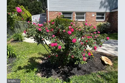 9907 Woodland Drive, Silver Spring, MD 20902 - Photo 62