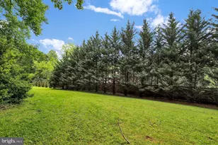 16420 Black Rock Rd, Darnestown, MD 20874 - Photo 88