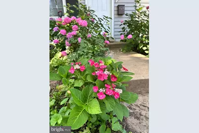 17736 Larchmont Terrace, Gaithersburg, MD 20877 - Photo 2