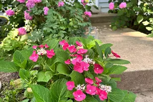 17736 Larchmont Terrace, Gaithersburg, MD 20877 - Photo 2