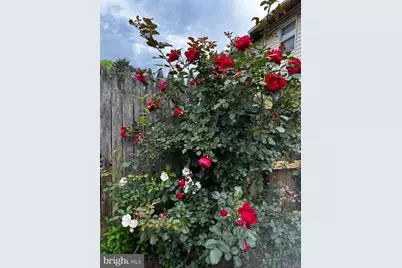 17736 Larchmont Terrace, Gaithersburg, MD 20877 - Photo 32