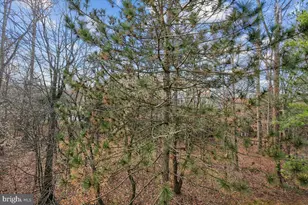 12708 Found Stone Rd, Germantown, MD 20876 - Photo 14