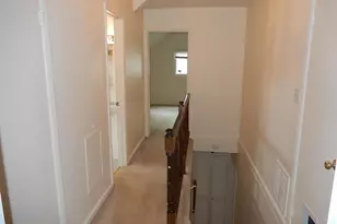 1812 Belvedere Blvd, Silver Spring, MD 20902 - Photo 14